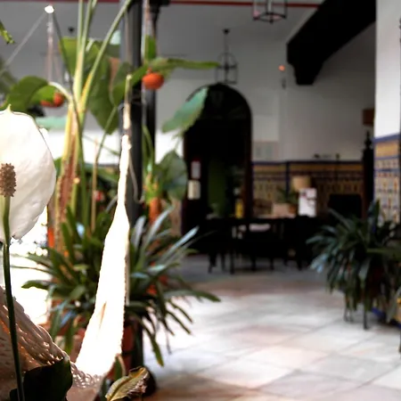 Casa De Azulejos قرطبة