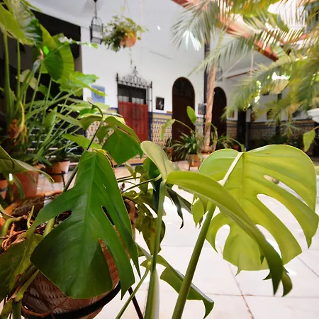 Casa De Azulejos Hotel