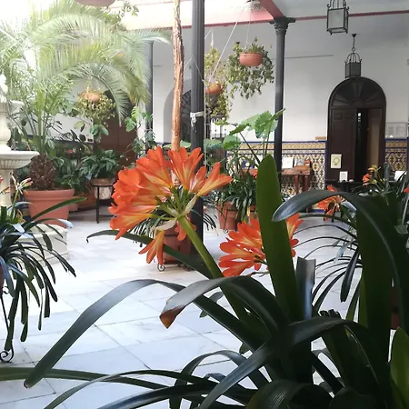 Отель Casa De Azulejos 2*
