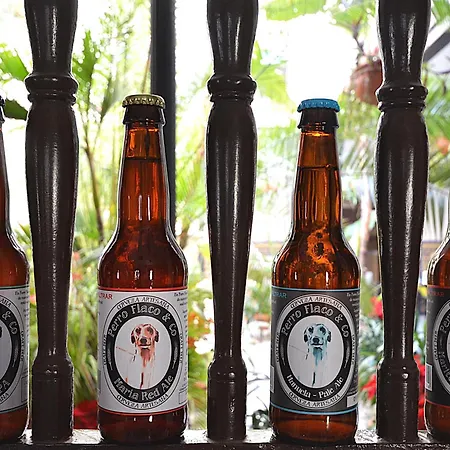 Hotel Casa De Azulejos