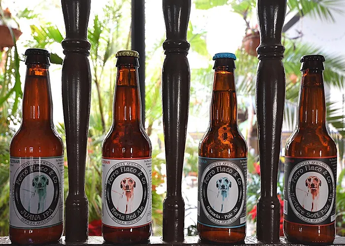 Hotel Casa De Azulejos